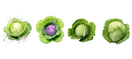 AI generated Set of Cabbage with transparent background. png