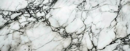 AI generated Panoramic white background from marble stone texture for design. photo