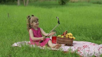 Weekend at picnic. Girl on grass meadow makes selfie on mobile phone with selfie stick. Video call