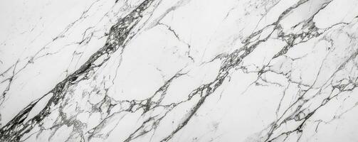 AI generated Panoramic white background from marble stone texture for design. photo