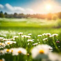 AI generated A Meadow's Embrace Of Spring Daisy Flowers Adorning the Landscape photo