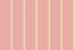 Seamless lines background of texture fabric stripe with a vertical pattern textile vector. vector