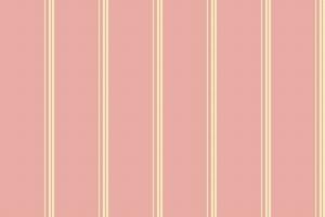 Seamless lines background of texture fabric stripe with a vertical pattern textile vector. vector