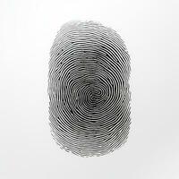 AI generated Fingerprint on White Background. Security, Code, Lock, Privacy photo
