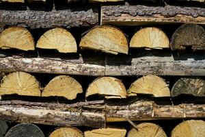 Stack of firewood prepared for winter. Spruce wood. photo