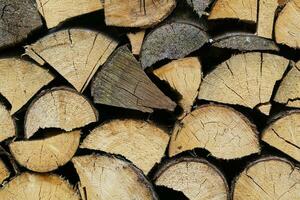 Stack of firewood prepared for winter. Spruce wood. photo