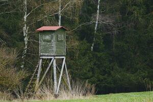 Wooden lookout tower for hunting in the woods and on meadow photo