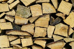 Stack of firewood prepared for winter. Spruce wood. photo