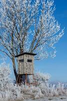 Observation post for hunters in winter photo