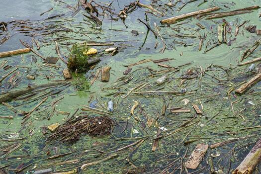 Water source that is polluted with various garbage. Environment pollution. photo