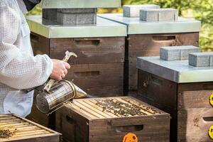 The beekeeper looks after bees. The beekeeper opens the hive, the bees checks, checks honey. Beekeeper exploring honeycomb. photo