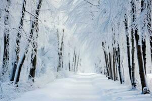 AI generated Winter walking path and trees covered with hoar frost. photo