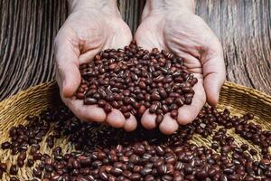 Dried red beans in female hands. In the background a wooden background. photo