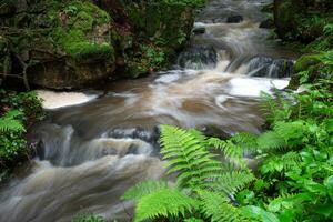 Waterfall, wild river Doubrava in Czech Republic. Valley Doubrava near Chotebor. photo