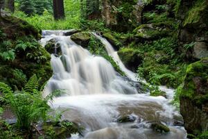 Waterfall, wild river Doubrava in Czech Republic. Valley Doubrava near Chotebor. photo