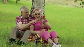 Family weekend picnic. Senior old grandparents couple in park using smartphone online browsing, chat video