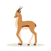 Elegant african antelope. Gazelle with horns on white background. Mammal animal. Vector illustration in flat cartoon style