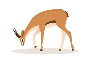 Cute african antelope. Gazelle with horns on white background. Mammal animal. Vector illustration in flat cartoon style