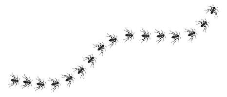 Black silhouettes of ants on a white background. Vector illustration.