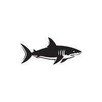 Shark icon on white background. Vector illustration design.