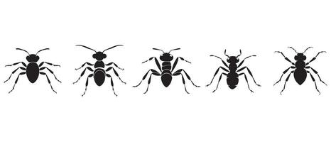 Set of black ant silhouettes isolated on white background. Vector illustration.