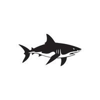 Shark icon on white background. Vector illustration design.