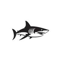 Shark icon on white background. Vector illustration design.