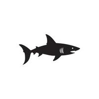 Shark icon on white background. Vector illustration design.