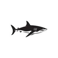 Shark icon on white background. Vector illustration design.