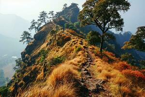 ai generado parte superior de el montaña excursionismo profesional fotografía foto