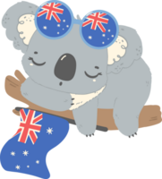 Cute Australia Day Koala png