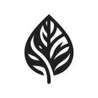 minimalist leaf logo on a white background vector