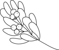 Mistletoe is drawn with simple lines, Beautiful mistletoe leaves. It is used to decorate cards for Christmas and New Year festivals. It is also used for embellishments and decorations. vector