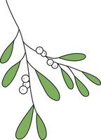 muérdago es dibujado con sencillo líneas, hermosa muérdago verde hojas. Decorar tarjetas para Navidad nuevo año.compuesto de muérdago hojas y blanco bayas. vector