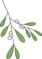 Mistletoe is drawn with simple lines, Beautiful mistletoe green leaves. decorate cards for Christmas New Year.consisting of mistletoe leaves and white berries. vector