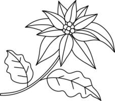 Navidad estrella con sencillo garabatear líneas es usado a complemento Navidad y nuevo año obras de arte flor de pascua, con ambos flores y hojas dibujado como un floral acuerdo, es metido en un maceta para Navidad. vector