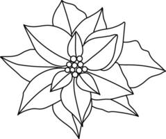 Navidad estrella con sencillo garabatear líneas es usado a complemento Navidad y nuevo año obras de arte flor de pascua, con ambos flores y hojas dibujado como un floral acuerdo, es metido en un maceta para Navidad. vector