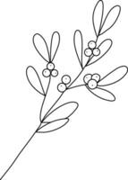 Mistletoe is drawn with simple lines, Beautiful mistletoe leaves. It is used to decorate cards for Christmas and New Year festivals. It is also used for embellishments and decorations. vector