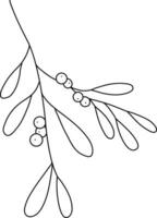 Mistletoe is drawn with simple lines, Beautiful mistletoe leaves. It is used to decorate cards for Christmas and New Year festivals. It is also used for embellishments and decorations. vector