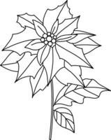 Christmas star with simple doodle lines is used to complement Christmas and New Year artworks. Poinsettia, with both flowers and leaves drawn as a floral arrangement, is placed in a pot for Christmas. vector