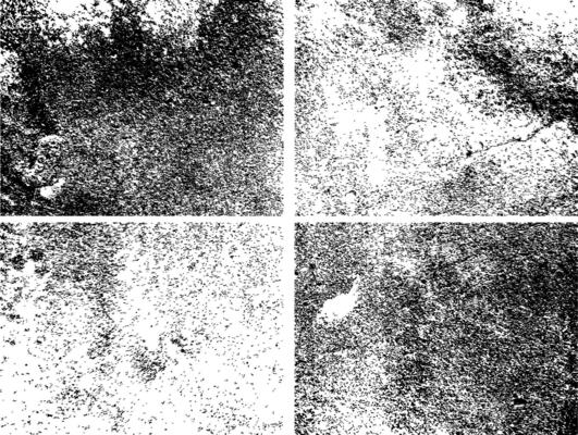 Distressed overlay texture. Abstract textured effect