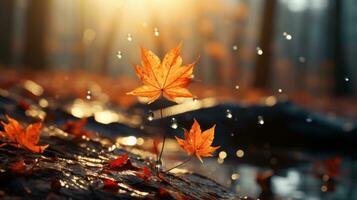 AI generated A vibrant autumn leaf glistens with raindrops, basking in the soft golden sunlight by a tranquil stream. photo