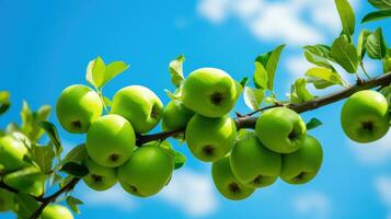 AI generated Cluster of fresh green apples hanging on a branch under a blue sky, with water droplets hinting at a recent rain. photo