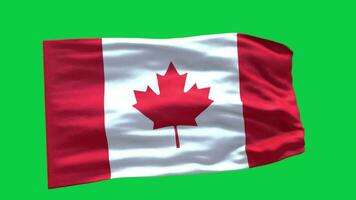 Canada flag waving animation motion graphic isolated on green screen background video