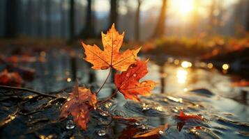 AI generated A vibrant autumn leaf glistens with raindrops, basking in the soft golden sunlight by a tranquil stream. photo