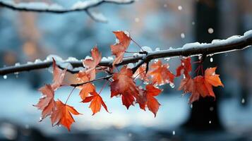 AI generated Crisp autumn leaves edged with frost, clinging to a branch against the soft light of a winter dawn. photo