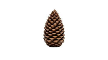 AI generated Detailed and Lifelike 3D Pine Cone Design, Perfectly Isolated on White photo