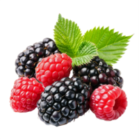 AI generated Fresh Blackberries and Raspberries with Leaves Isolated on transparent  Background png