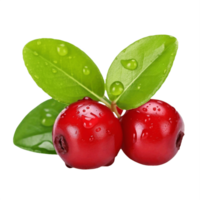 AI generated Ripe Cranberries with Fresh Leaf on transparent Background png