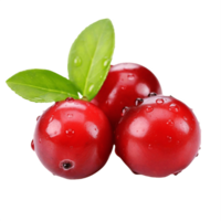 AI generated Ripe Cranberries with Fresh Leaf on transparent Background png